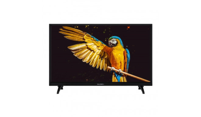 GoGEN TVH24A336 24" TV