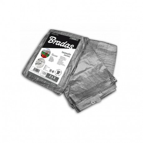 hõbedane present 120g 15*20m