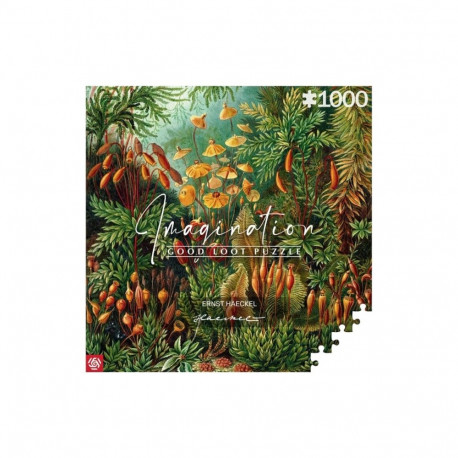 Imagination pusle: Ernst Haeckel muscinae 1000 elementi