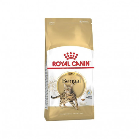 ROYAL CANIN FBN Bengal Adult kuiv kassitoit 10kg