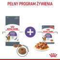 ROYAL CANIN Appetit Control pieces in sauce - wet cat food - 12 x 85g