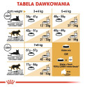 ROYAL CANIN FBN Bengali täiskasvanud kasside kuivtoit - 10kg
