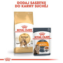 ROYAL CANIN FBN Bengal Adult - dry cat food - 10kg