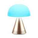 Lexon Mina Audio L LED lamp bluetooth kõlariga kuldne/kuldne LH76MD