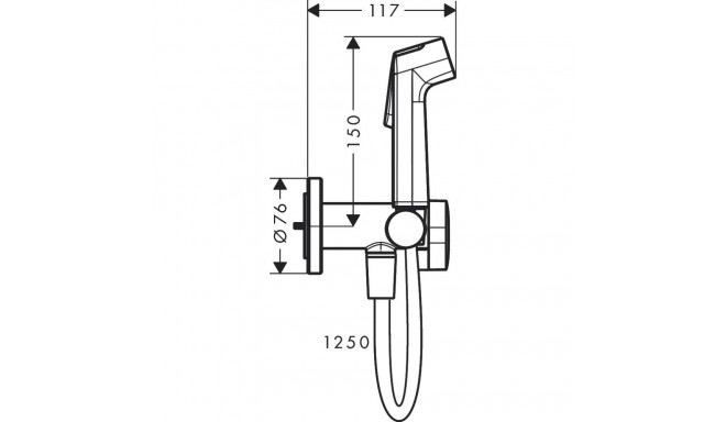 Bidet shower set Hansgrohe 29232340