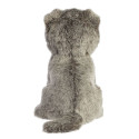 AURORA Miyoni Soft toy Scottish fold cat, 22 cm