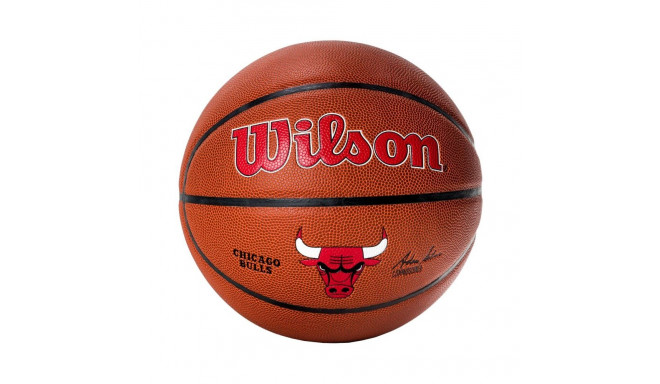 Ball Wilson Team Alliance Chicago Bulls Ball WTB3100XBCHI (7)
