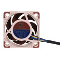 Noctua NF-A4X20 5V PWM arvuti jahutuskomponent Arvutikorpuse ventilaator 4 cm
