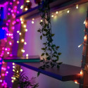 TWINKLY Strings 250 Special Edition (TWS250SPP-BEU) Smart Christmas tree lights 250 LED RGB+W 20 m