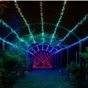 TWINKLY Strings 250 Special Edition (TWS250SPP-BEU) Smart Christmas tree lights 250 LED RGB+W 20 m