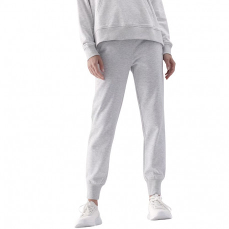 4F naiste püksid F0946 4FWMM00TTROF0946 27M XL, jahe helehall melanž