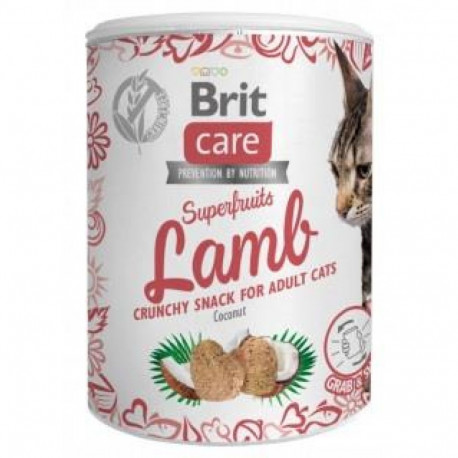 BRIT CARE CAT SUPERFRUITS lambaliha 100g
