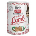 BRIT CARE CAT SUPERFRUITS LAMB 100G