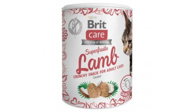 BRIT CARE CAT SUPERFRUITS LAMB 100G