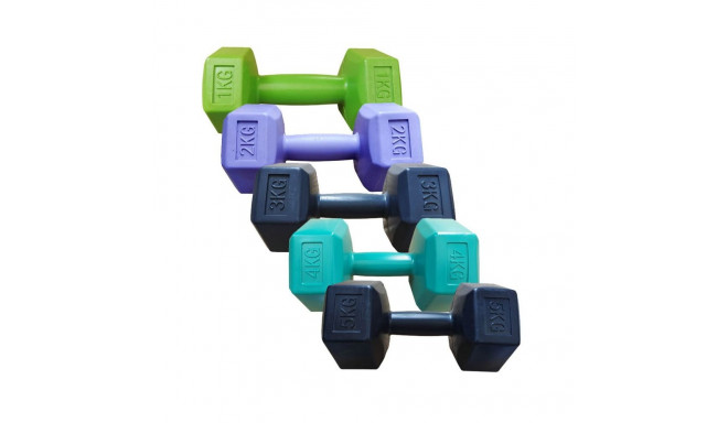 Composite dumbbells S825724 (2x3,00 kg)