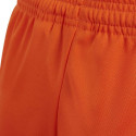 Adidas Squadra 17 Shorts Junior BK4775 (140cm)