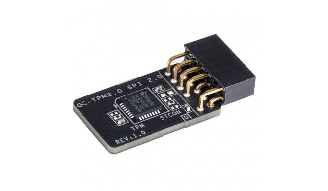 Gigabyte GC-TPM2.0 SPI 2.0 trusted platform module (TPM)