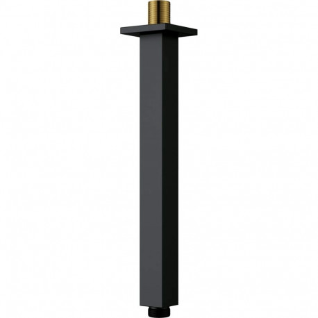 Ceiling shower spout - 250 mm