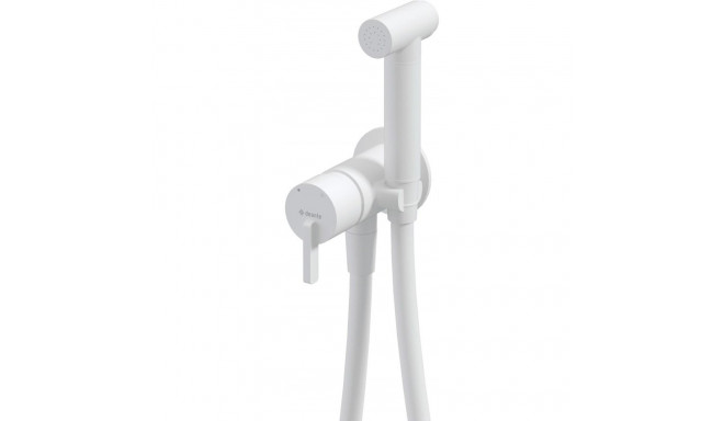 Concealed bidet mixer with bidetta receiver