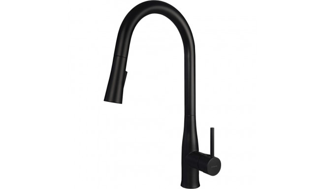 Kitchen faucet with pull-out spout