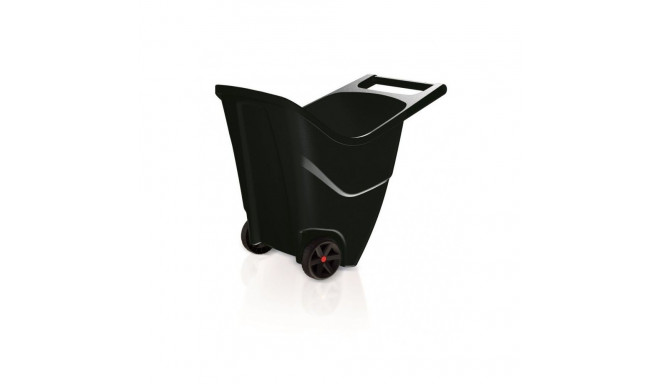 Wheelbarrow Prosperplast Load & Go II