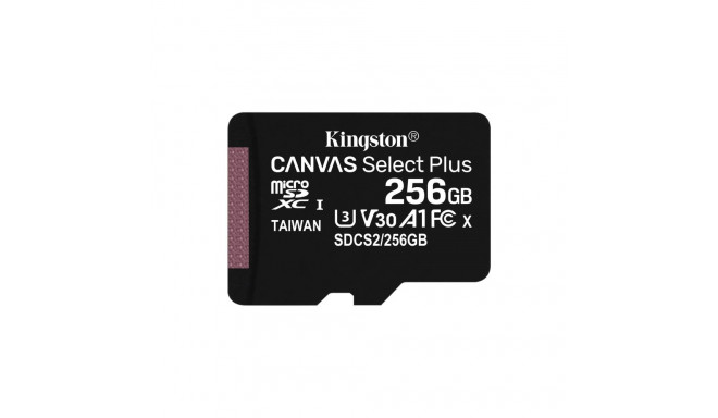 Memory Card - Kingston Technology 256GB Canvas Select Plus, Gold