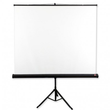Projection Screen - Avtek 175 1:1