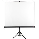 Projection Screen - Avtek 175 1:1