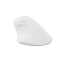 VERTICAL MOUSE NATEC CRAKE 2 WIRELESS 2400DPI BLUETOOTH 5.2 + 2.4GHZ WHITE
