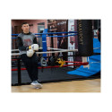 Boxing gloves Yakmaspor lion 14 oz 10034214OZ (14 oz)