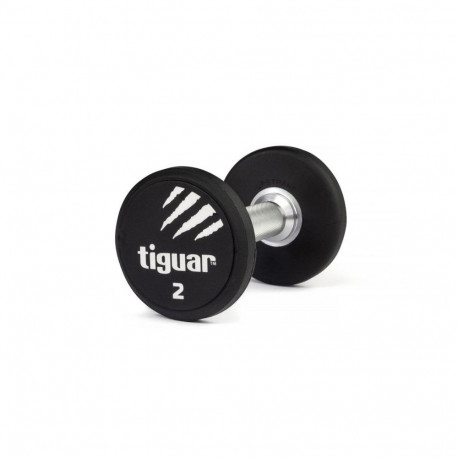 Tiguar PU dumbbell 2 kg TI-WHPU0020