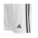 Adidas Squadra 21 Short Youth Jr GN5766 (164cm)