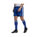 Adidas Squadra 21 Short M GK9153 (L)