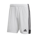 Adidas Tastigo 19 Shorts M DP3247 shorts (L)