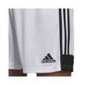 Adidas Tastigo 19 Shorts M DP3247 shorts (L)