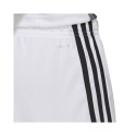 Adidas Tastigo 19 Shorts M DP3247 shorts (L)