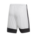 Adidas Tastigo 19 Shorts M DP3247 shorts (L)