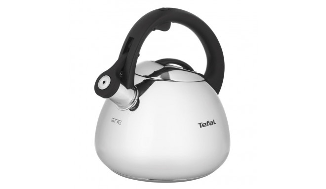 Tefal K2481574 kettle 2.7 L Silver