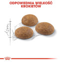 Royal Canin Outdoor cats dry food 400 g Adult Poultry