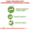 Royal Canin Outdoor cats dry food 400 g Adult Poultry
