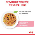 Royal Canin FHN Kitten Instinctive tarretises - märgtoit kassipoegadele - 12x85g