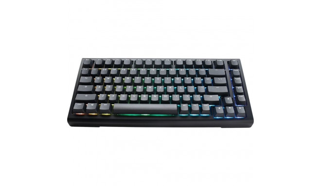 Ducky Tinker 75 Gaming Keyboard, RGB, black - MX-Blue (ANSI)