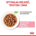 Royal Canin Sterilised kastmes 12x85g