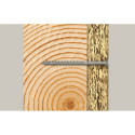 Fischer kruvikeerajad FPF II CTF 6.0x60 100 tk.