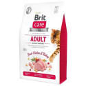 BRITCARE CAT ADULT ACTIVITY SUPPORT 2KG