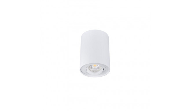 CEILING LIGHT POINT FITTING BORD DLP-50W