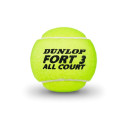 Tennispallid Dunlop FORT ALL COURT TS Premium 4-tin ITF