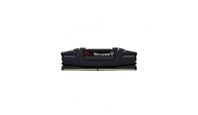 G.SKILL RipjawsV F4-3600C18D-16GVK DDR4 DIMM 2 x 8 GB 3600 MHz 18