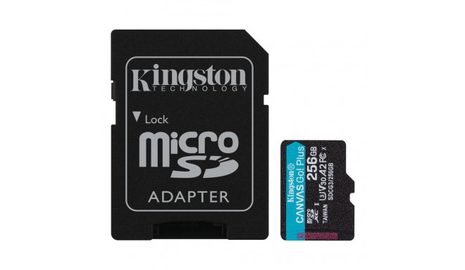 Kingston Canvas Go! Plus MicroSDXC 256 GB Class 10 UHS-I/U3 A2 V30 (SDCG3/256GB)