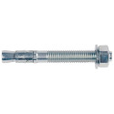 Anchor bolt FBN II 10/100 10x175 mm